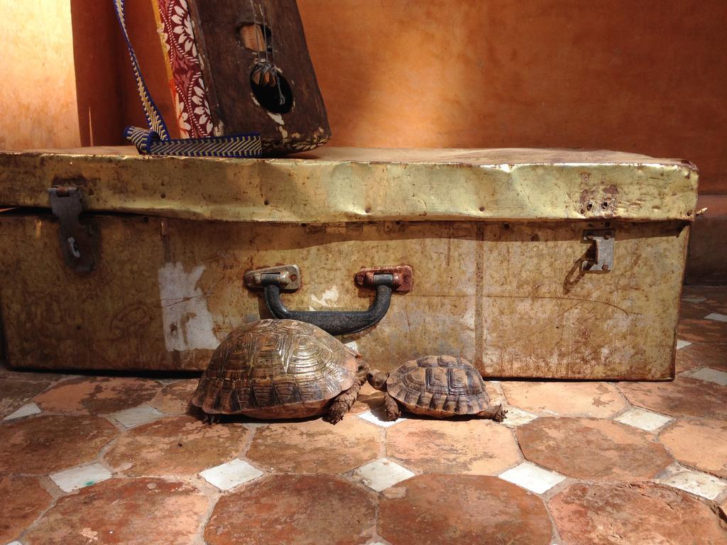 Riad Jardin Secret Маракеш Екстериор снимка