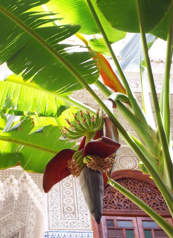 Riad Jardin Secret Маракеш Екстериор снимка